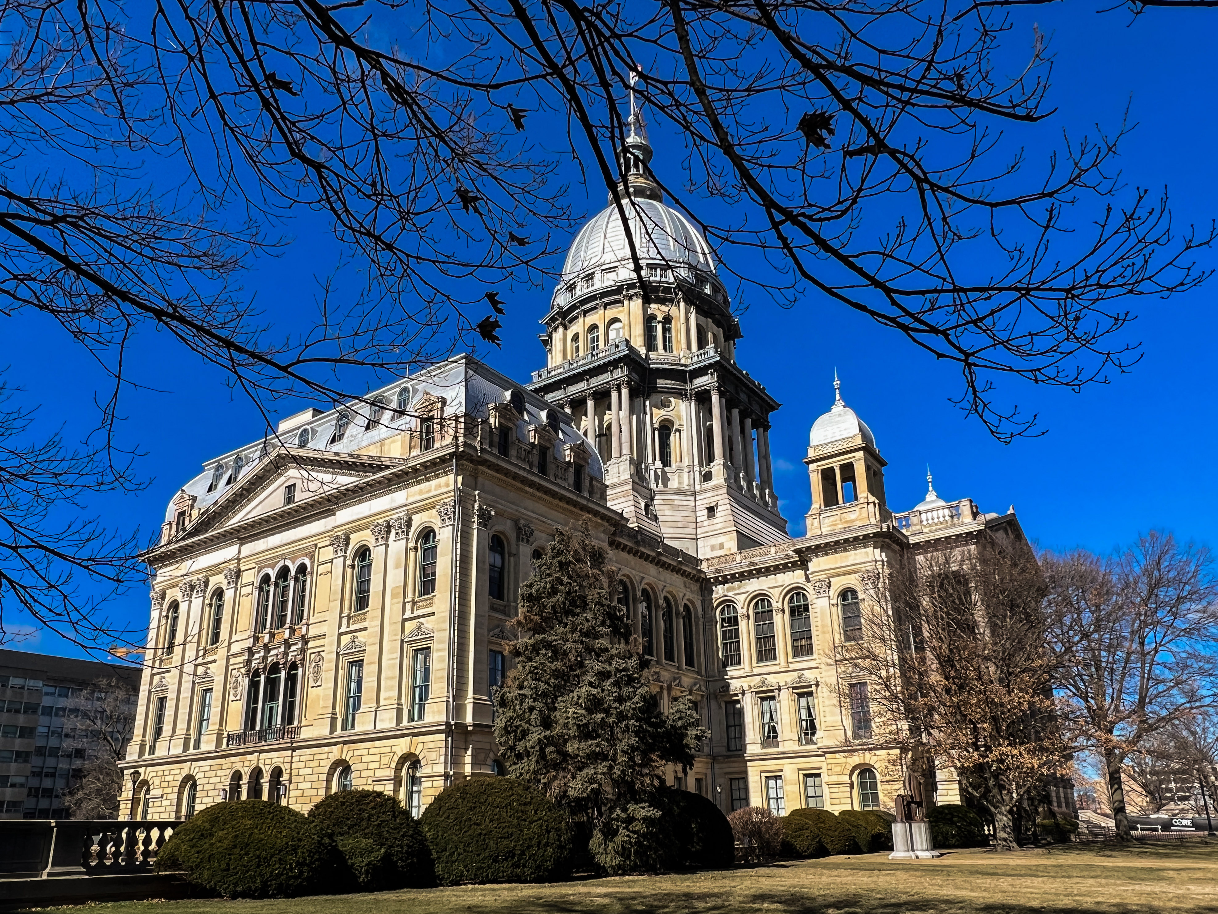 State senators on Sunday night voted on bills to ban delta-8 products and reforming the Illinois Prisoner Review Board.