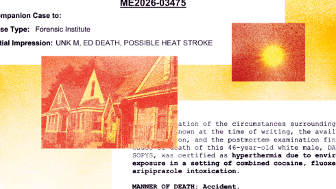 A total of 15 people died from heat-related causes in Cook County this summer, the most in a single year in the last decade, according to a WBEZ and Chicago Sun-Times analysis of county data.