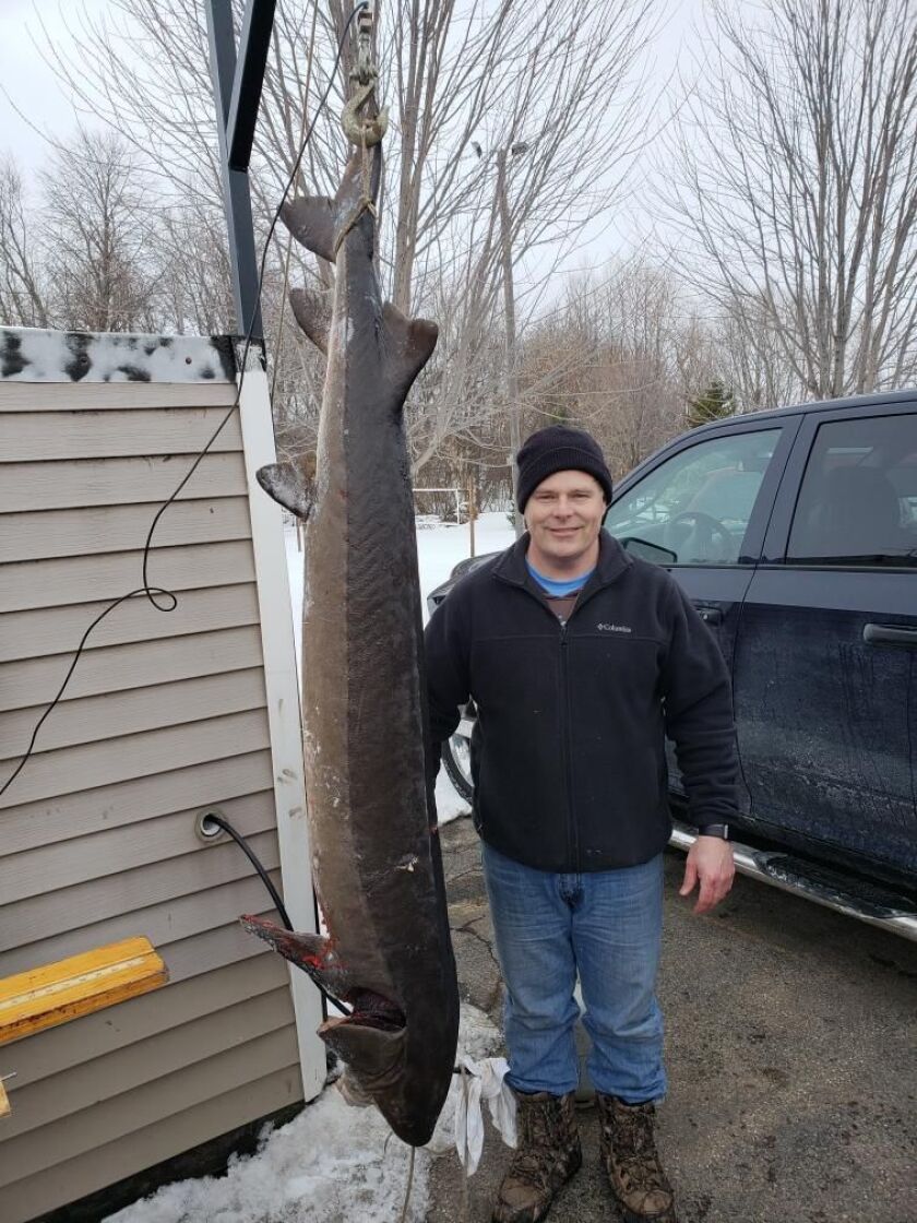 Scott Heller with the 114.4-pound, 73.9-inch sturgeon he speared Sunday.<br>Provided by Wisconsin DNR