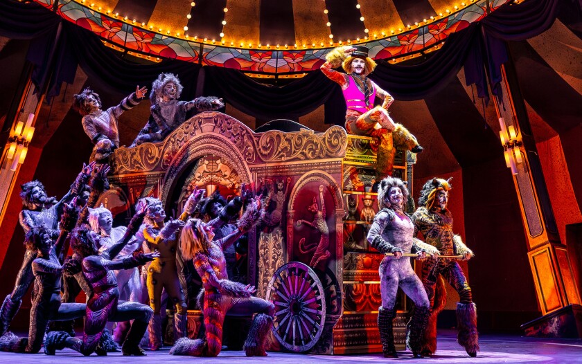 Anakin Jace White PlayS skimbleshanks the railway cat, Utilizing astride his railway automobile in paramount theater's circus-interspered production of cats.