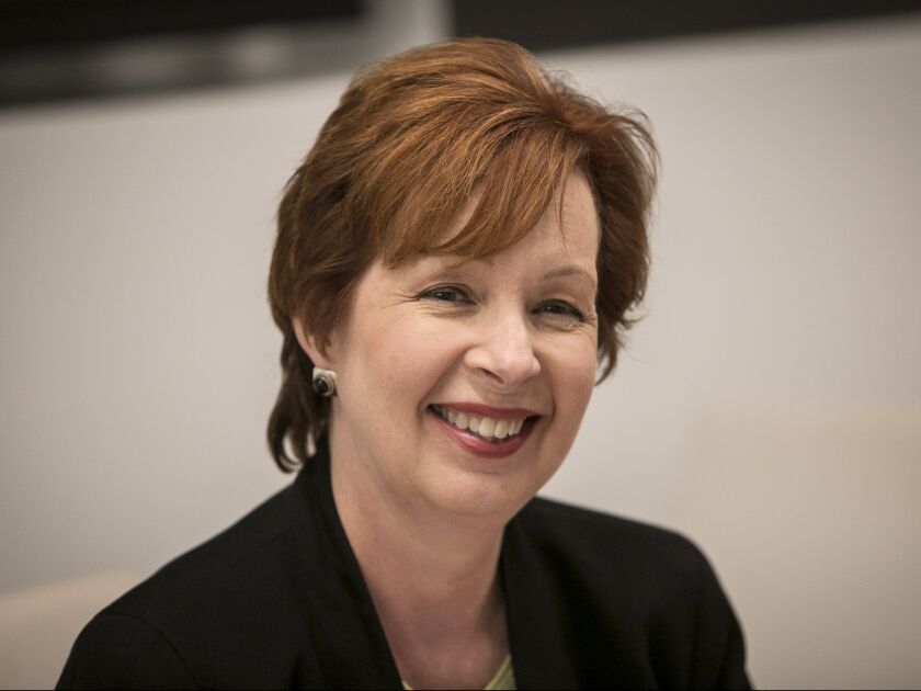 Ann Gillespie is endorsed for Illinois Senate in the 27th District. | Rich Hein/Sun-Times