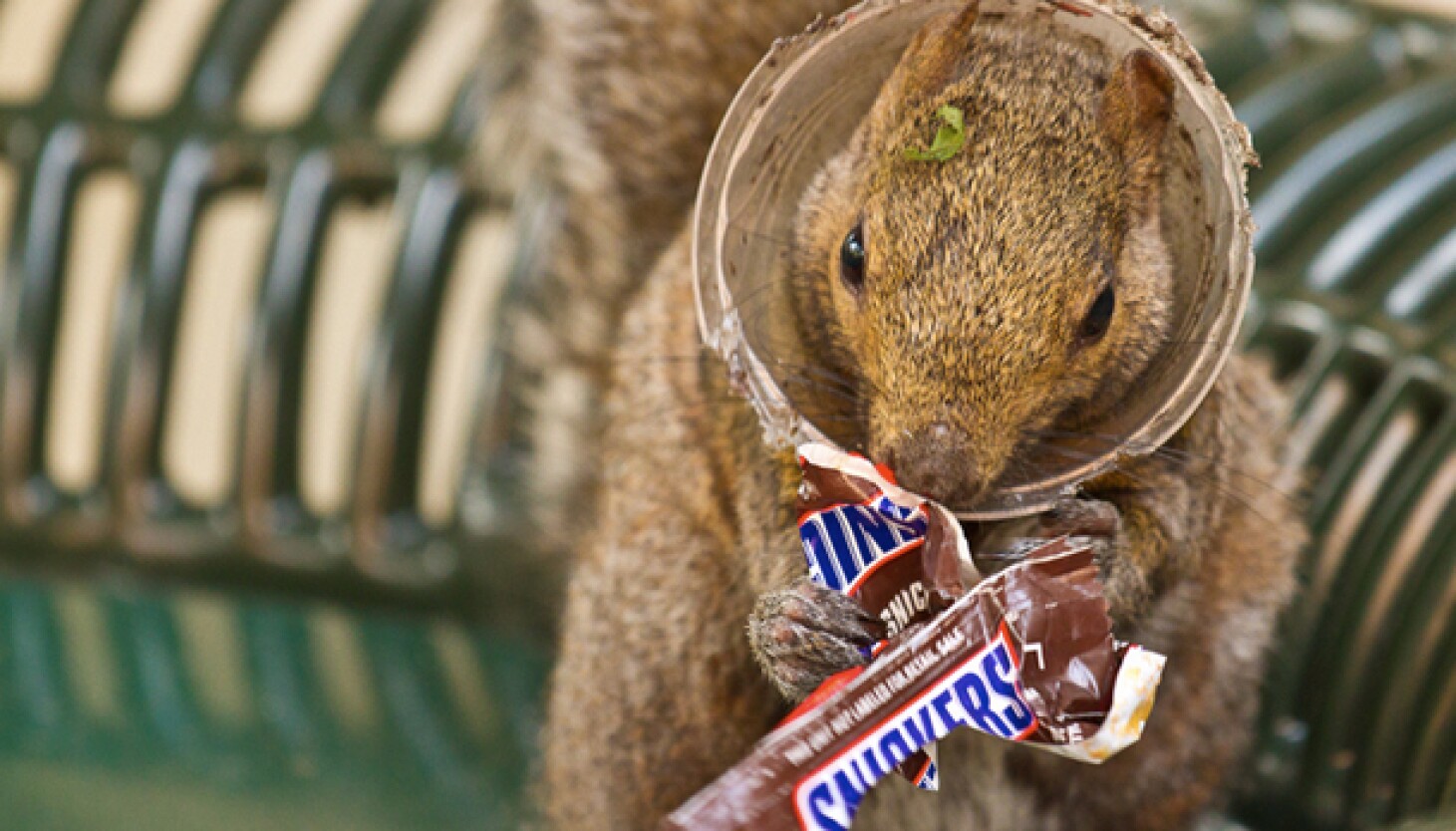 High-speed evolution - WBEZ Chicago