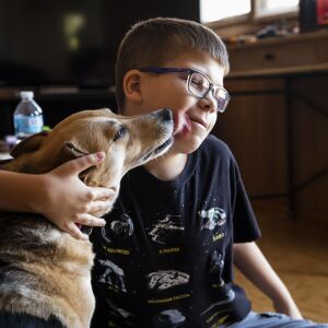 Oliwier “Oli” Kluzik, 12, plays with the family dog, Nika, at his grandmother’s Northwest Side home.