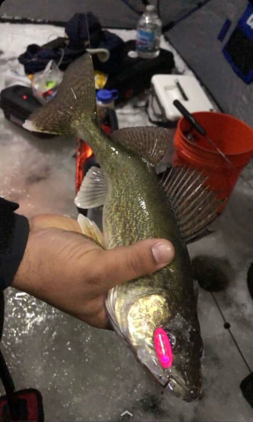 Javier Serna shows a nice walleye caught on his time ice fishing this winter/fall in northern Minnesota. Provided photo