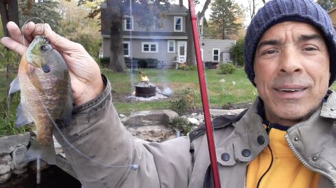 Rob Abouchar found active bluegill on Island Lake. Provided photo