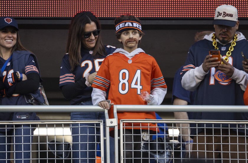 BEARS_2610230014.jpg