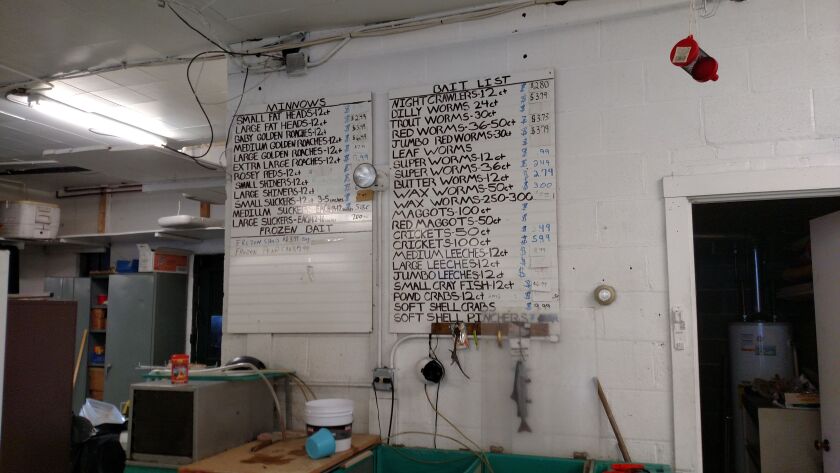 As a teen, Bobby B made the bait signs that hung above the minnow tanks at Mik-Lurch Fishing Tackle Outlet, which closed Dec. 31, 2015.<br>Credit: Dale Bowman
