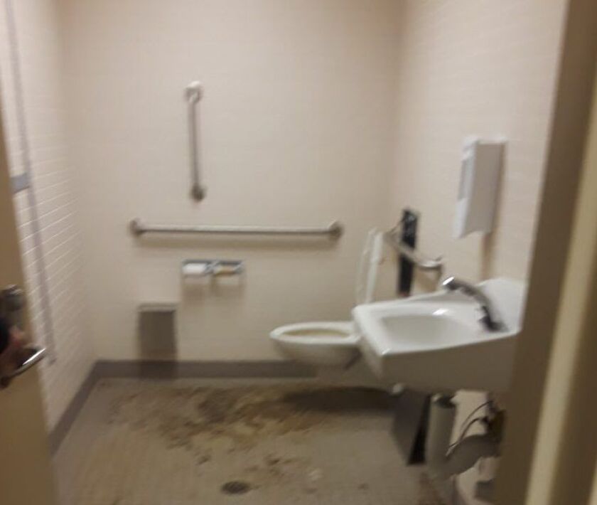 Drake Elementary School, 2710 S Dearborn St., failed pest and bathroom categories during its CPS “blitz” inspection on December 17, 2017. It was one of 125 schools that were inspected after a rat infestation was discover at Mollison Elementary in Bronzevi