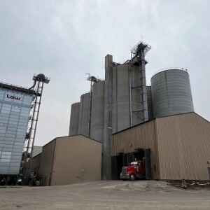 Row of silos at at Incobrasa Industrial's Gilman facility.
