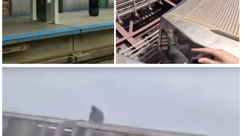 Images of subway surfers on the L as posted on social media pages.