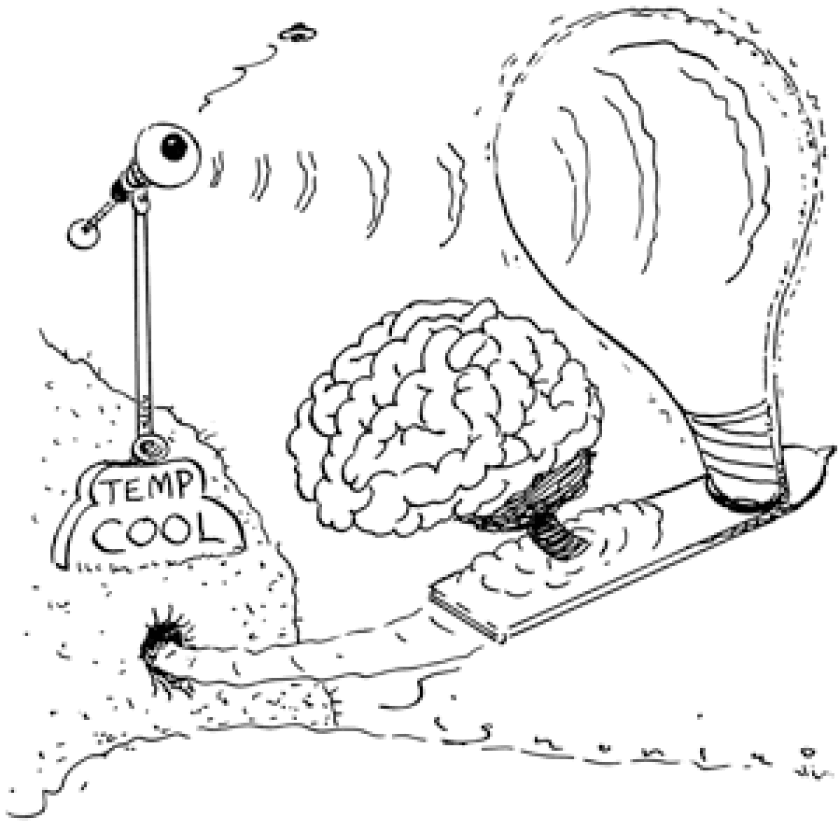 dope_170825_ufos_online.gif