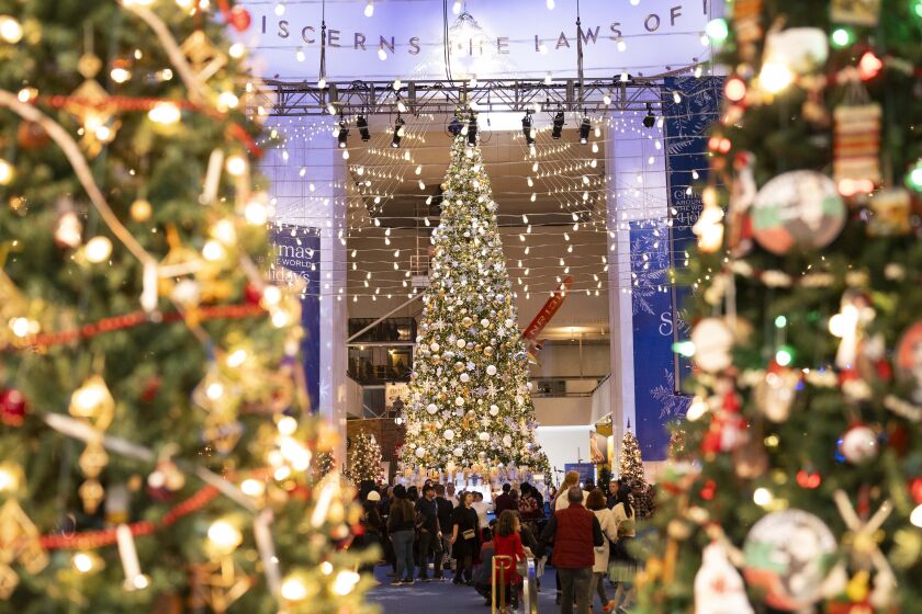 A Christmas tree is lit after a tree lighting ceremony at the Museum of Science and Industry, Saturday, Nov. 18, 2023.