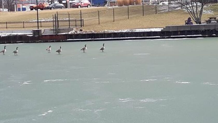 The status of Michigan City, should be wide open by the weekend.<br>Provided by David Martin Repya