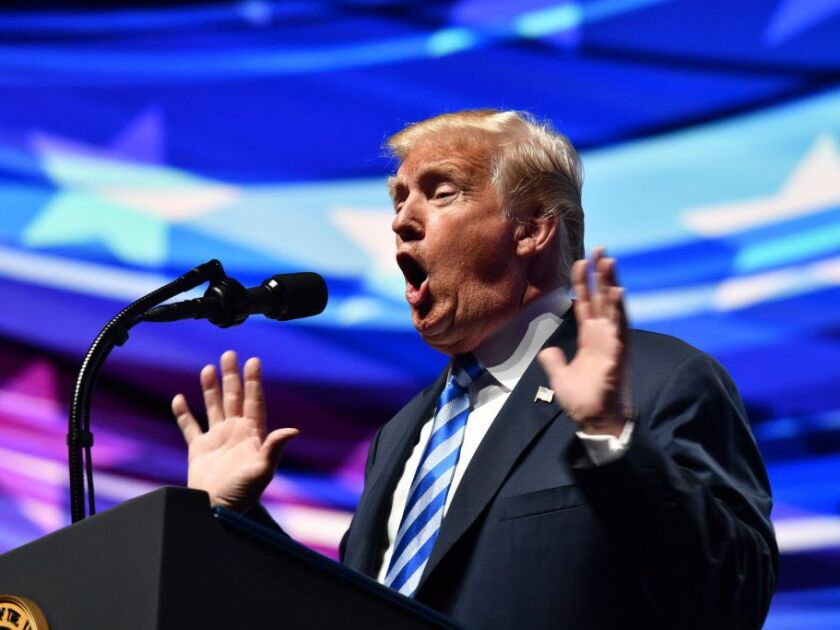 President Donald Trump speaks at the NRA-ILA Leadership Forum during the NRA Annual Meeting at the Kay Bailey Hutchison Convention Center on May 4, 2018 in Dallas, Texas. / AFP PHOTO / Nicholas Kamm/Getty Images