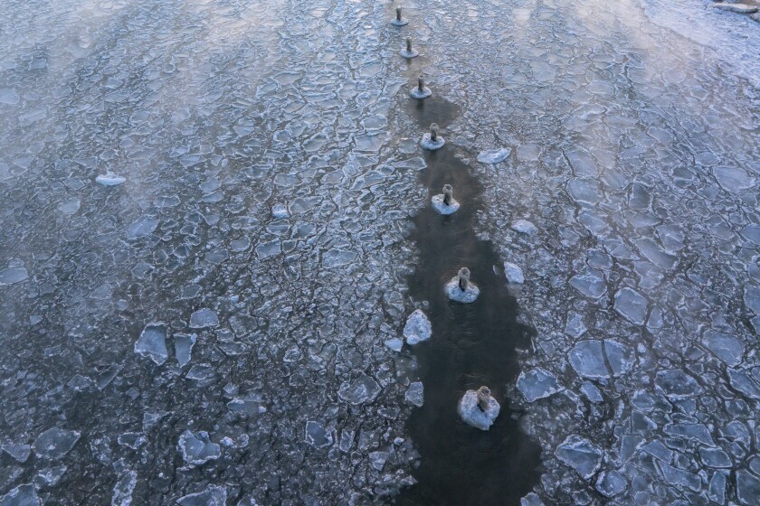 COLD_260124-7.jpg