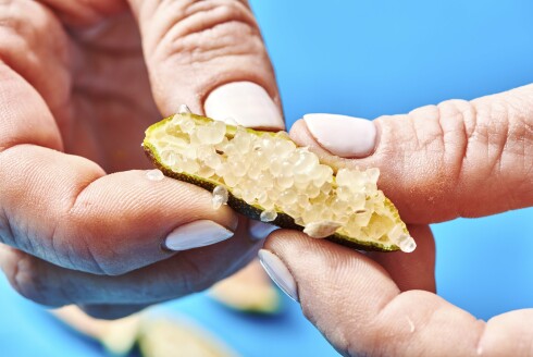 This photo shows a finger lime being squeezed to release the juice pearls in New York on Nov. 15, 2021.