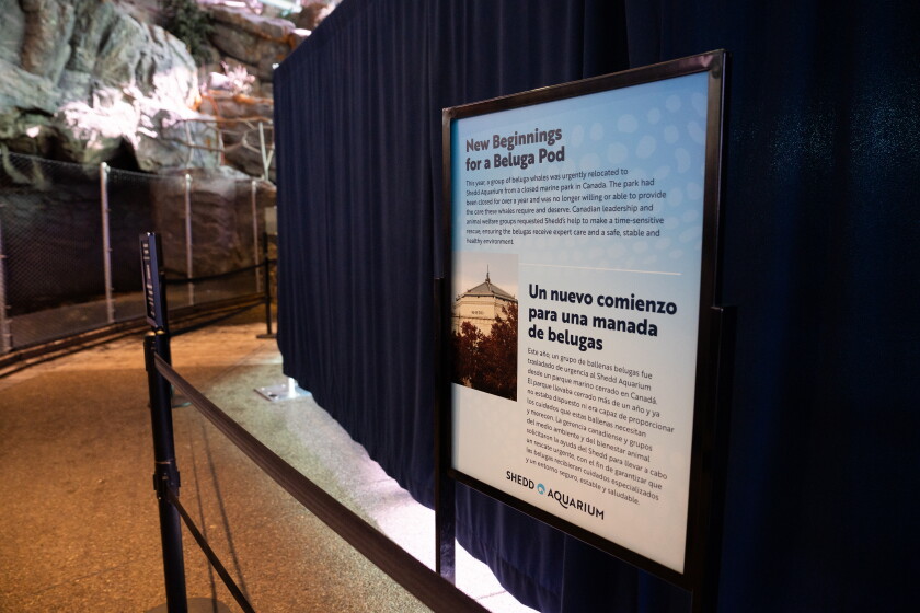 BELUGASSHED_260724-16.jpg