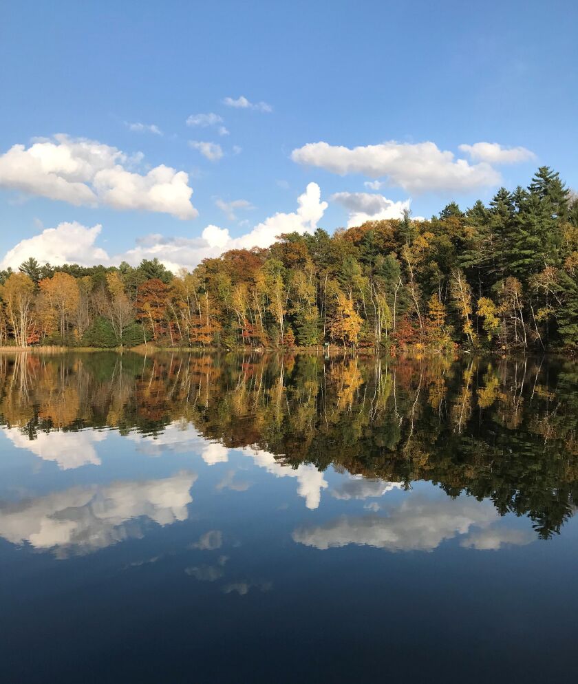 A fall scene in northern Wisconsin. Credit: Vickie O’Malley