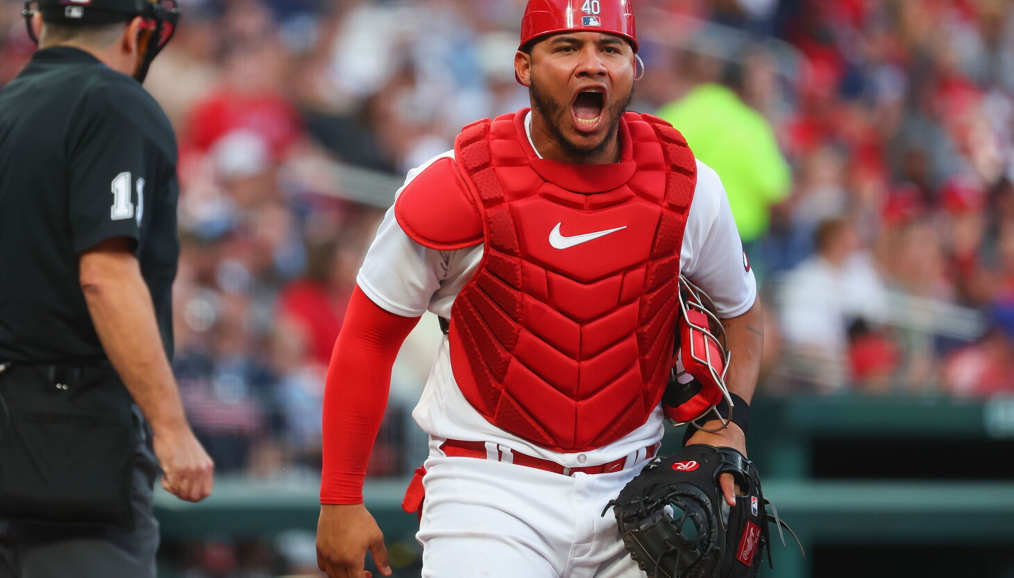 Cardinals rule in 2024? Willson Contreras, Lance Lynn looking to top Cubs, all others in Central - Vimarsana News