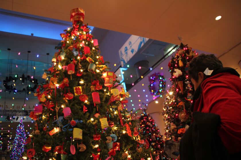 China_Tree_1024x682.jpg