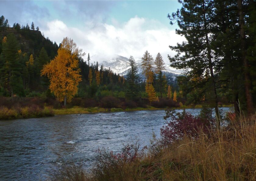 The lower Blackfoot River in early winter. Credit: John Maclean
