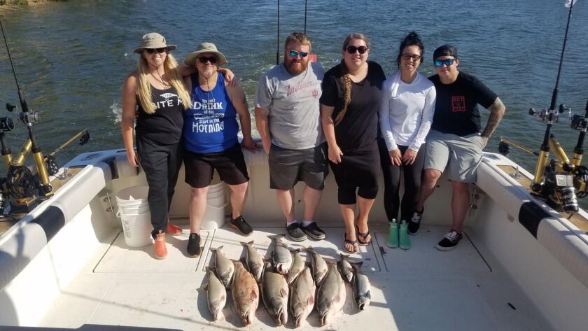 Good results from an outing on southern Lake Michigan out of northwest Indiana. Provided by Capt. Rich Sleziak