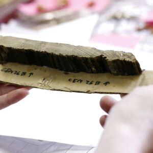 A portion of a pine casket from one of the graves unearthed. | AP/Rogelio V. Solis