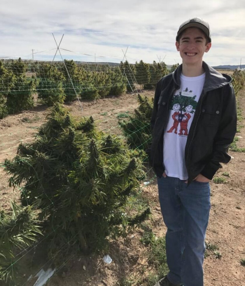 Coltyn Turner posing with marijuana crops. | Facebook