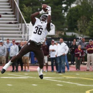 Mount Carmel’s Kenenna Odeluga (36) intercepts a pass. Allen Cunningham/For the Sun-Times.