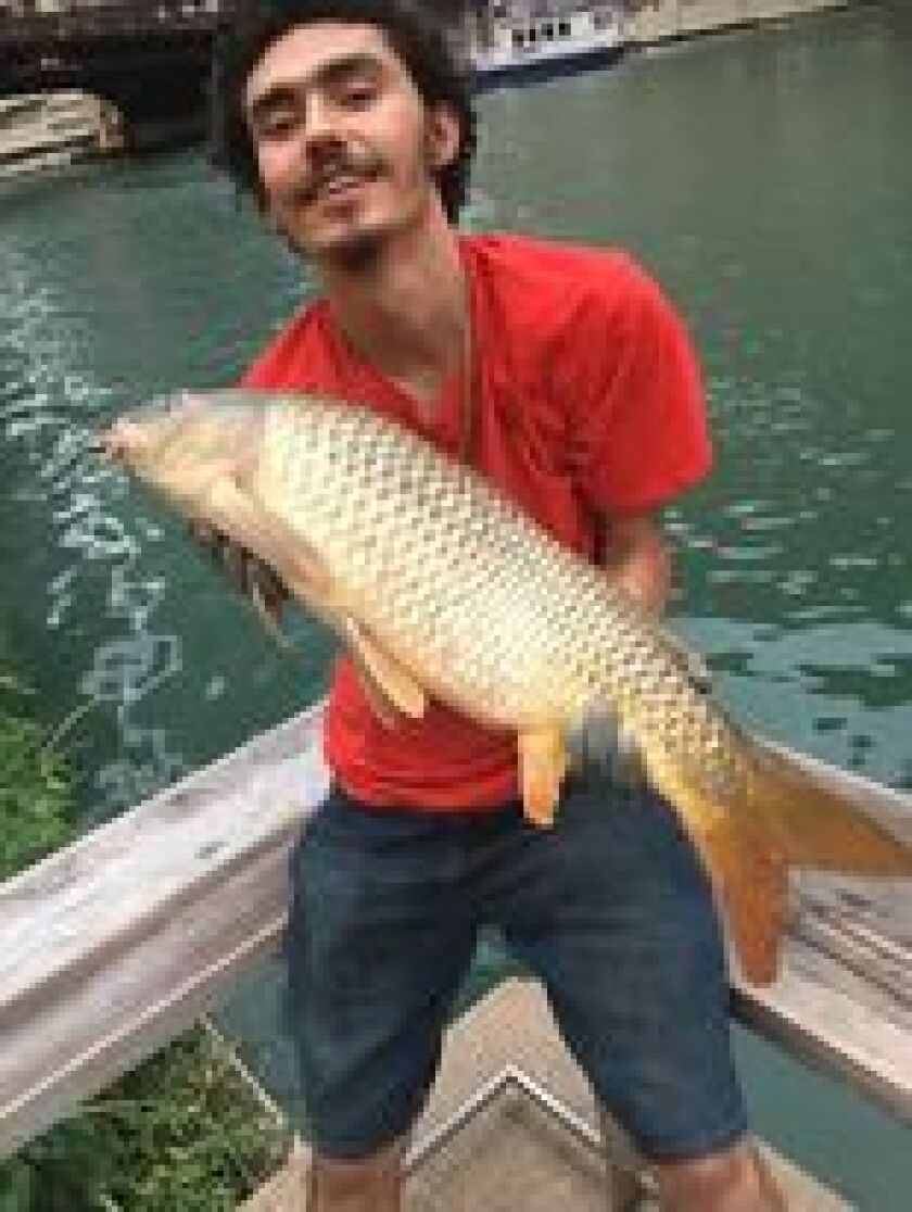 Jesse Gonzalez holds a big carp from the Chicago River. Provided by Jeffrey Williams