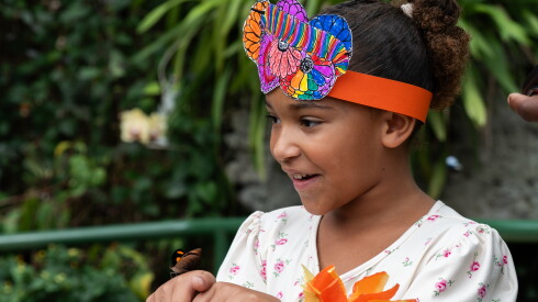 Johari Mnyuku, 4, reacts at a butterfly that landed on her hand at the Judy Istock Butterfly Haven at the Peggy Notebaert Nature Museum in Lincoln Park during “Flutter into Fall,” Saturday, Sept. 5, 2026.