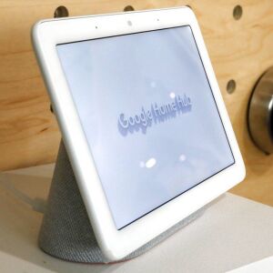 A Google Home Hub | AP Photo