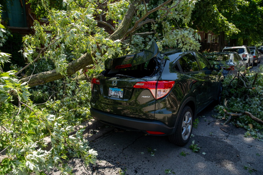 Chicago Trees Exploding Thousands citywide report tree damage after severe overnight storms ...