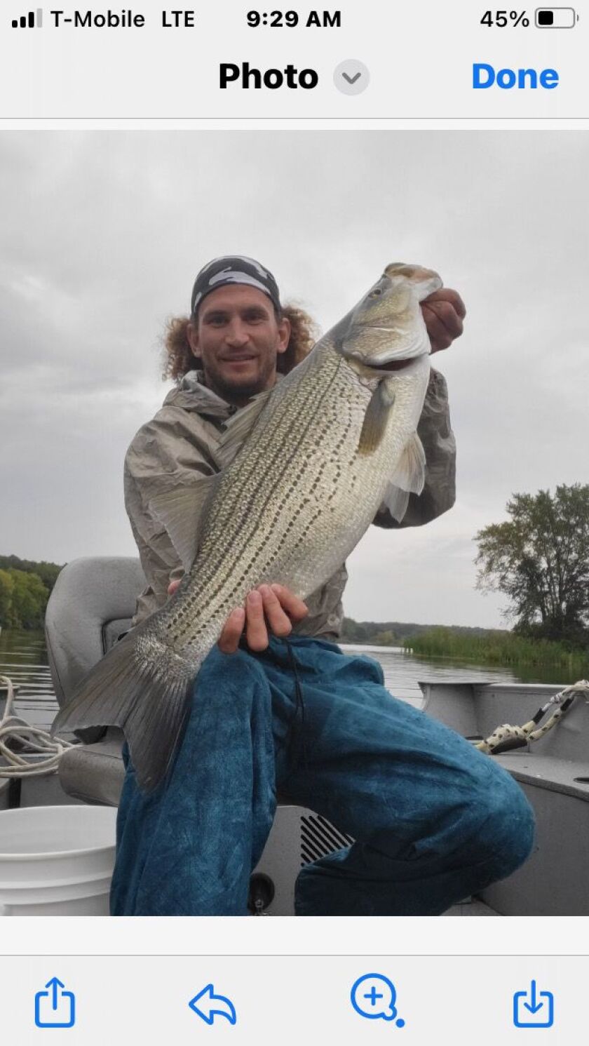 A hybrid striped bass caugh at Shabbona Lake. Provided by Boondocks