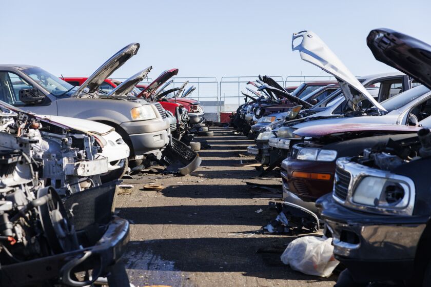 Rows of vehicles for customers to remove parts at Victory Auto Wreckers at 710 E. Green Street in Bensenville, Thursday, Nov. 9, 2023. Victory Auto Wreckers is shutting down after nearly 80 years in business. | Anthony Vazquez/Sun-Times