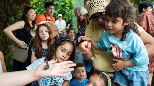 Kids watch butterflies take their first flight as they are released into the Judy Istock Butterfly Haven at the Peggy Notebaert Nature Museum in Lincoln Park during “Flutter into Fall,” Saturday, Sept. 5, 2026.