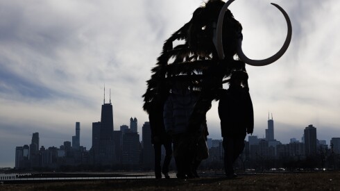 Dancers donning the mammoth costume walk past with the city skyline in the background for the video portion of “Nick Cave: Mammoth,” a series by artist Nick Cave during a video shoot near Theater by the Lake at North DuSable Lake Shore Drive and West Fullerton Parkway.