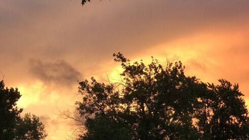 Nature photo of the week. Credit: Ken “Husker” O’Malley