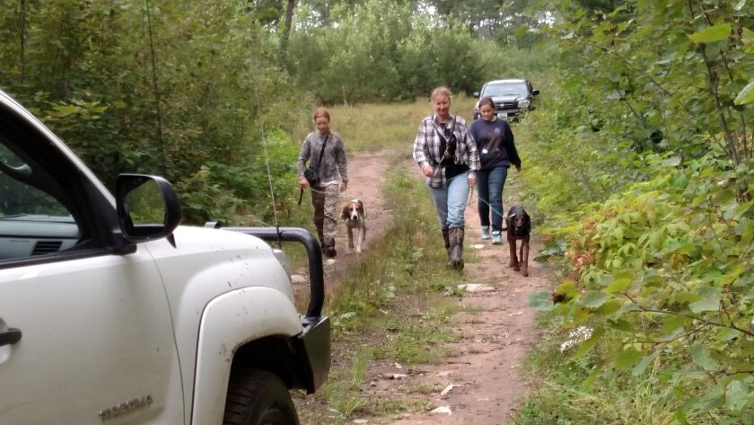 Sierra and her mother Laurie lead the final two hounds back, Sara Bowman is in the background, after a successful training run for bear hounds.<br>Credit: Dale Bowman
