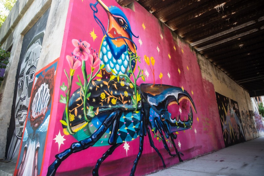 A mural shows a mostly blue hummingbird and beetle along with light pink flowers against a bright pink background.