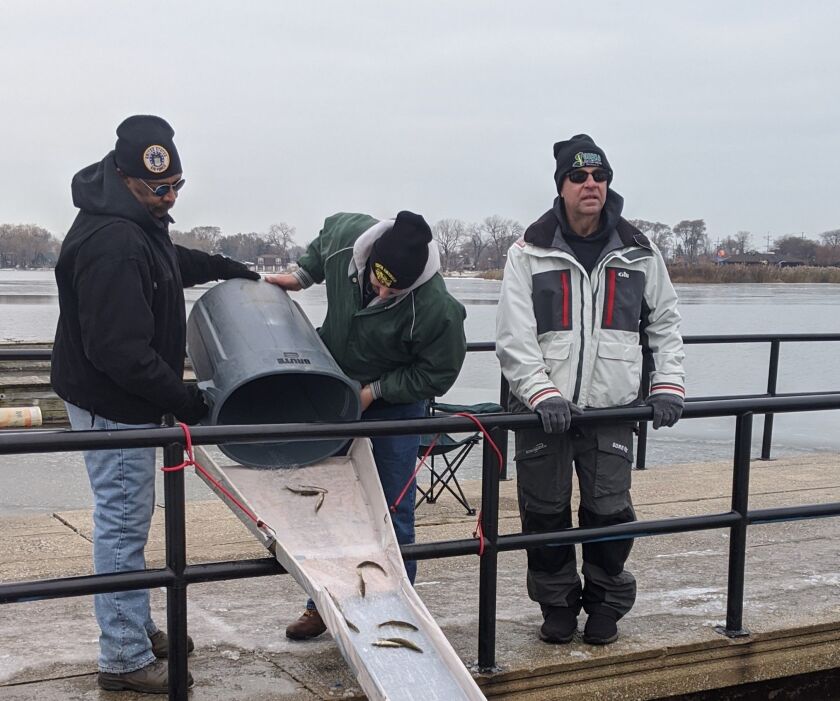The annual stocking of walleye in Wolf Lake from last November with Perch America’s Vince Johnson (left) and Bruce Caruso. Credit: Dale Bowman