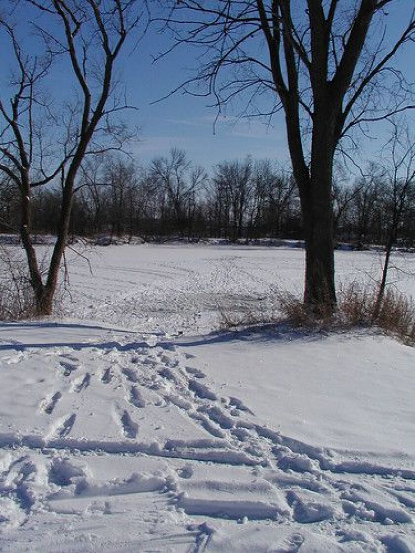 4233715607_c9130b1e08.jpg
