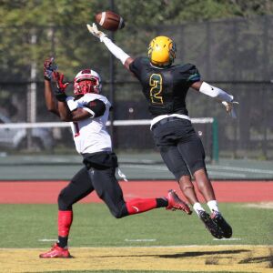 Westinghouse’s Tyvis Ousley (2) tips away a pass. Allen Cunningham/For the Sun-Times.