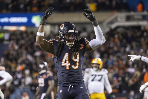 BEARS-260111-102.jpg