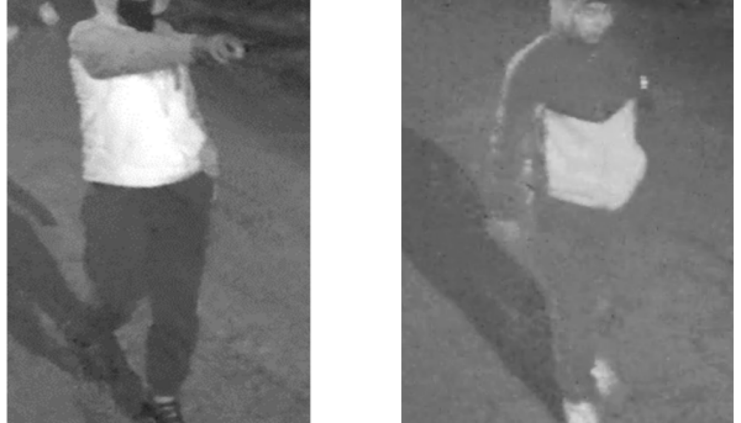 2 men sought in assault on women in Ravenswood Manor 2 men sought in assault on women in Ravenswood Manor