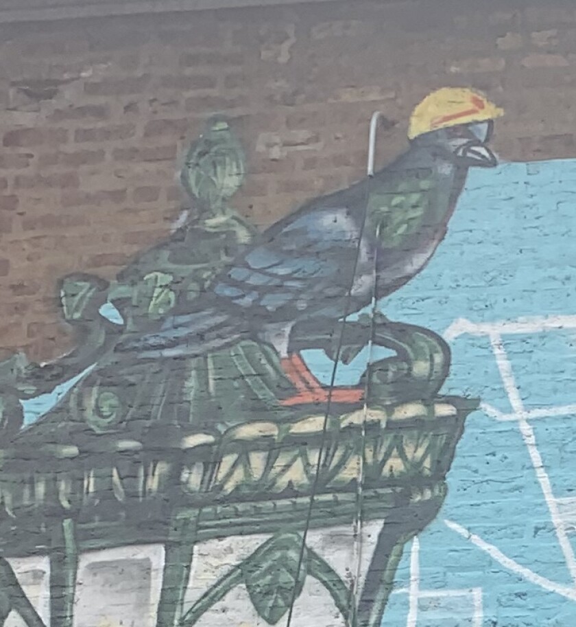A closeup of the pigeon in Danny Torres’ mural on West Armitage Avenue in Lincoln Park.