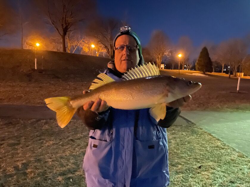 Arden Katz shows one of he big walleye being caught on the Fox River at DePere River, Wis. Provided photo