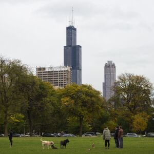 A view of downtown from Little Italy. | Tyler LaRiviere/Sun-Times