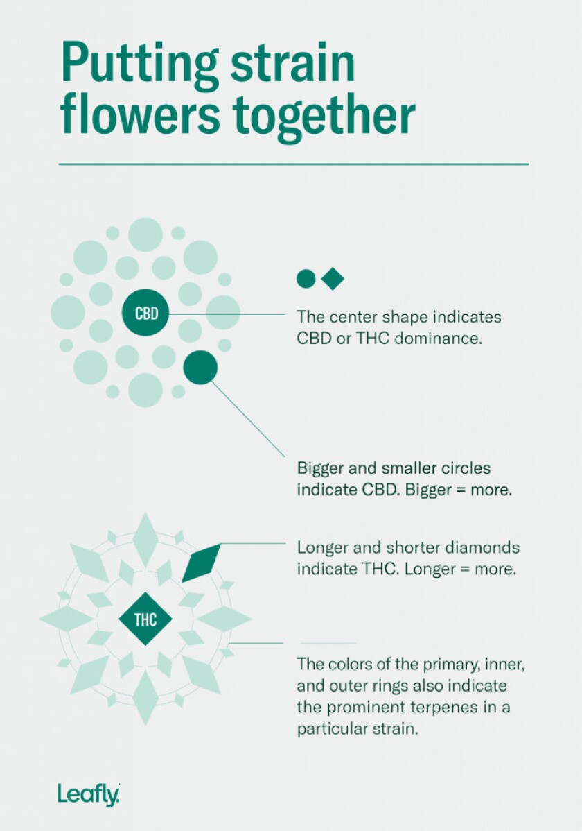 Stevo_Article_Explainer_SHAPES_1_718x1024.png