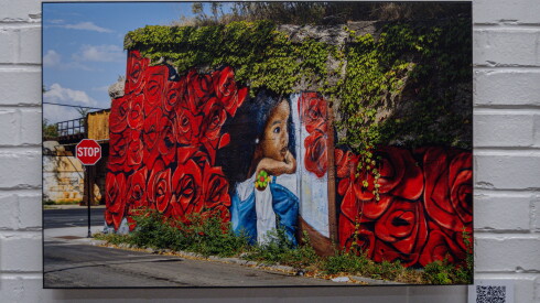 A mural on the West Side, as shown at the Chicago Sun-Times' Navy Pier exhibition.